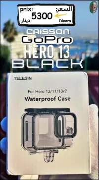 GoPro HERO 13 Black caisson plongée sous marine TELESIN 40 metres