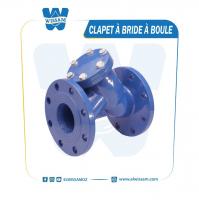 industrie-fabrication-clapet-a-bride-boule-dar-el-beida-alger-algerie