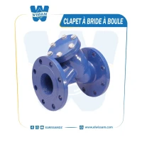 CLAPET A BRIDE A BOULE