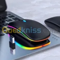 Souris SF HP rechargeable W10 