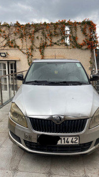 voitures-skoda-fabia-2014-visage-bou-ismail-tipaza-algerie