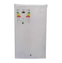 Réfrigérateur RAYLAN Maxibar 160l 