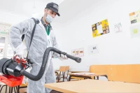 Directeur des opérations en gestion parasitaire 