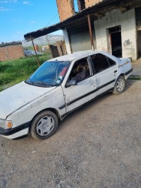 سيارات-peugeot-405-1989-تيميزارت-تيزي-وزو-الجزائر