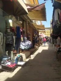Location Local Tipaza Kolea