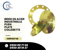 BRIDE EN ACIER 