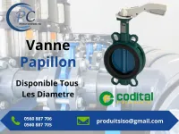 VANNE PAPILLON 