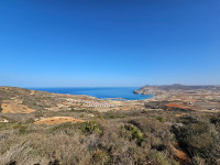 terrain-agricole-vente-ain-temouchent-algerie