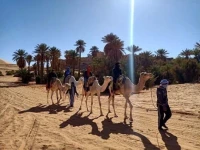 Programme fin d Année TAGHIT L enchanteresse