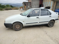 berline-renault-19-1995-boucif-ouled-askeur-jijel-algerie