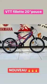 Velo 20 pouce wst 