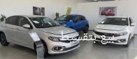 voitures-fiat-tipo-2024-soumaa-blida-algerie