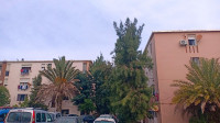 appartement-vente-f3-alger-reghaia-algerie