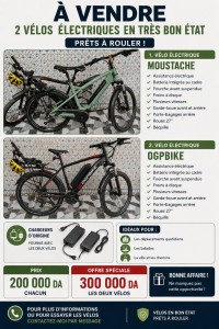 دراجات-هوائية-a-vendre-2-velos-electriques-بشار-الجزائر