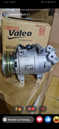 Compressor climatiseur 