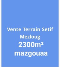 terrain-vente-setif-mezloug-algerie