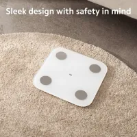 Smart balance Xiaomi 