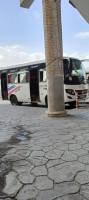 bus-shuchi-2013-bordj-bou-arreridj-algerie