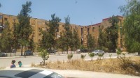 شقة-كراء-3-غرف-البليدة-بني-مراد-الجزائر