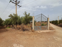 terrain-agricole-vente-oran-misseghine-algerie