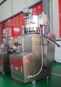 Machine De Fabrication Des Pastilles De Sel آلة صنع أقراص مستديرة الملح