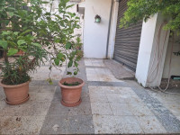 appartement-location-f3-annaba-algerie