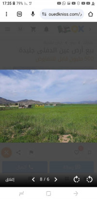 terrain-agricole-vente-ain-defla-djelida-algerie