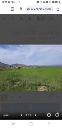Vente Terrain Agricole Aïn Defla Djelida