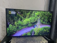 Television iris 49pous simple