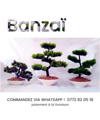 Bonsaï/Style japonais/Plante artificielle/Déco Moderne/Petit/Moyen/Grand/Table/Banzaï//شجرة البونساي