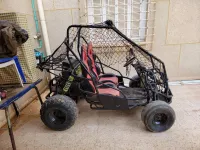 Buggy Buggy 2015
