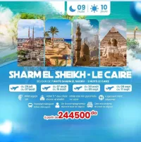 Voyage organisé Egypte combiné Caire- Sharam Sheikh Juillet / Aout 2025