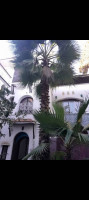 villa-vente-alger-ben-aknoun-algerie