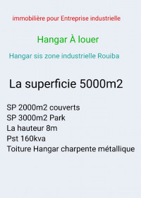 hangar-location-alger-rouiba-algerie