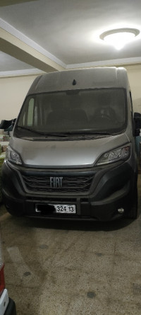 utilitaire-fiat-ducato-2024-tlemcen-algerie