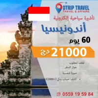 E-Visa Indonesie تأشيرة أندونيسيا الإلكترونية