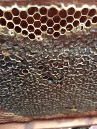 عسل حر Du  miel naturel 