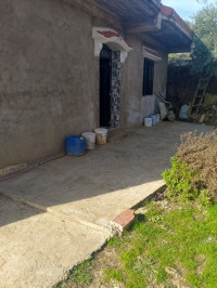 niveau-de-villa-vente-f4-mila-amira-arras-algerie