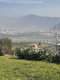 terrain-vente-bejaia-akbou-algerie