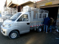 automobiles-chery-yoki-2021-vehicule-tout-neuf-constantine-algerie