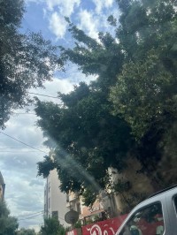 أرض-بيع-الجزائر-الأبيار