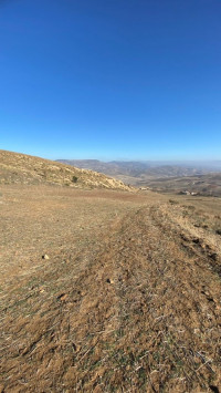 terrain-agricole-vente-bordj-bou-arreridj-medjana-algerie