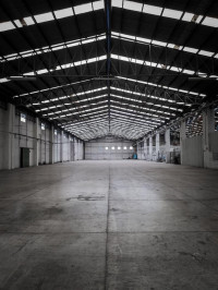 hangar-location-alger-dar-el-beida-algerie