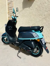 VMS COXI ESTATE 2022