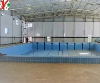 Grès cérame pour Piscine