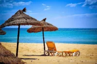 Hammamet Par Bus