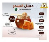 miel-derives-عسل-السدر-حر-rouiba-alger-algerie