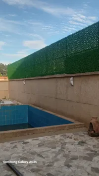 تزيين منزلك بلمسة خضراء 