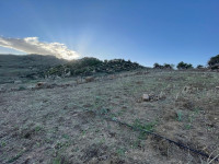 terrain-vente-bouira-lakhdaria-algerie