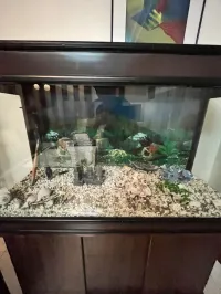 Meuble aquarium 